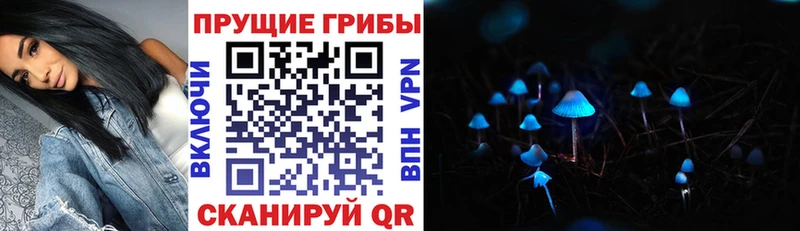 Галлюциногенные грибы мухоморы  Брянск 